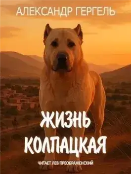 Жизнь колпацкая