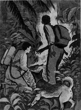 Новичок в космосе