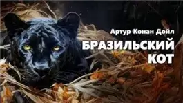 Бразильский кот