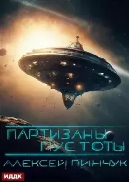 Партизаны пустоты