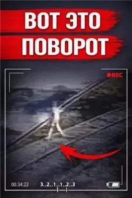 Убийца в парике