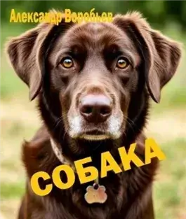Собака