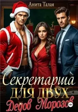 Секретарша для двух Дедов Морозов