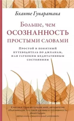 Больше, чем осознанность простыми словами. Простой и понятный путеводитель по джханам, или глубоким
