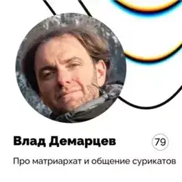 Про матриархат и общение сурикатов — Влад Демарцев