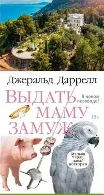 Выдать маму замуж. Сборник рассказов